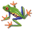 grenouille